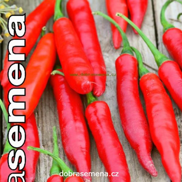 cayenske_korenie_chilli_papricky_cervene_palive_stiplave_priesady_sadenice_senec_bratislava