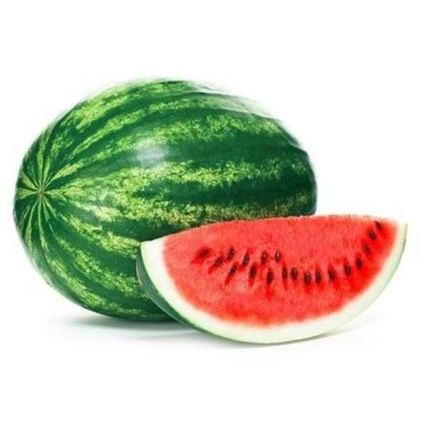 MELANIA F1 melón vodový