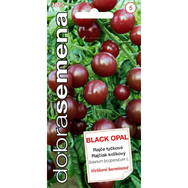 BLACK OPAL, cherry paradajky, kolíkové